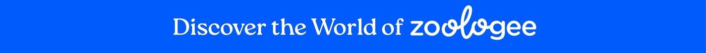A blue banner reading Discover the World of Zoologee