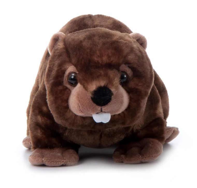 Beaver Stuffed Animal Plushie by Zoologee