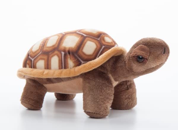 Desert Tortoise Stuffed Animal, Wild Onez by Zoologee