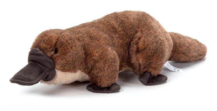 Platypus Stuffed Animal Plush, Wild Onez by Zoologee, view 2