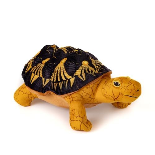 Radiated Tortoise Stuffed Animal Plushie by Zoologee